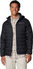 Delta Ridge II Down Hooded Jacket