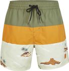 Cali Block 15'' Swim Shorts