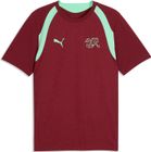 SFV Training Jersey