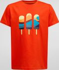 Icy Mountains T-shirt K