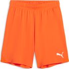 Teamgoal Shorts