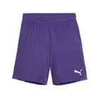 Teamgoal Shorts Jr