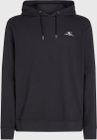 O'neill Small Logo Hoodie