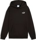 Essentials No 1 Logo Hoodie FL B