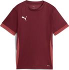 Teamgoal Matchday Jersey jr