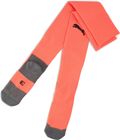 Team Liga Socks Core