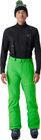 Dare Pants