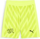 SFV GK Shorts Replica Jr