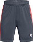B's Ch. Knit Short