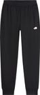 Womens TNF Performance Fleece SW Pant