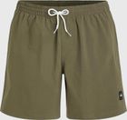 MIX & Match Vert 16'' Swim Shorts