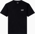 Train Core ID M Tee SS CO CC - Train Core ID M Tee SS CO CC