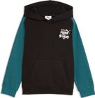 Super Puma Hoodie TR PS