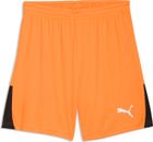 teamLIGA26 Shorts