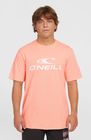 O'neill Logo T-shirt