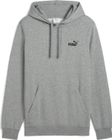 Essentials Small No 1 Logo Hoodie TR