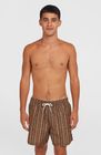 O'neill Cali Print 15'' Swimshorts