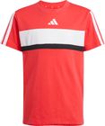 Seasonal Essentials Tiberio 3 Stripes T-shirt