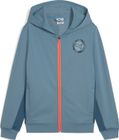 Active Sports Graphic Full-zip Hoodie TR B