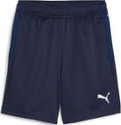 Teamgoal Training Short Jr