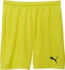 Teamgoal Shorts