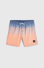 O'neill Logo Stripe Swimshorts