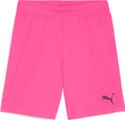 Teamgoal Shorts