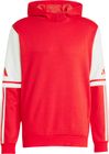 SQUADRA25 Sweat Hoody