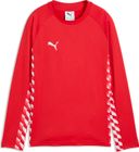 Liga Baselayer Bundle