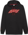 F1 Essentials Logo Hoodie