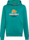 Adidas Minecraft Terrex Hoodie Kids Boys AND Girls