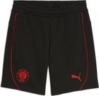 Fcsp Casuals Shorts