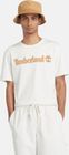 Mens Linear Logo Short Sleeve Tee