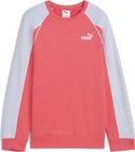 Puma Sport Crew TR G