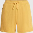 O'neill Beach Vintage Shorts