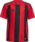 Striped 24 Jersey Kids