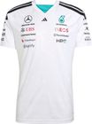 Mercedes - AMG Petronas Formula 1 Team Driver Jersey Men