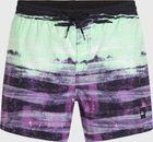 O'neill Cali Gradient 15'' Swimshorts
