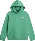 Teen Evolution Simple Dome Pullover Hood