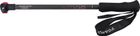 Backcountry Carbon W TOP Segment