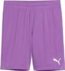 Teamgoal Shorts