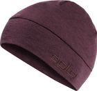 The Revelstoke Performance Wool Beanie Hat