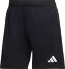 Entrada26 Training Shorts Women