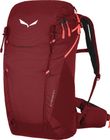 ALP Trainer 20 WS