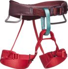 K Momentum Harness
