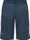 Men's Sesvenna Shorts III