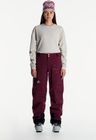 Apex Mtn-x 3L Pant Women’s