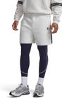 Icon Fleece Taped Short