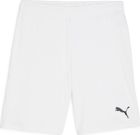Teamgoal Shorts