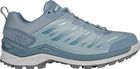 Ferrox GTX LO Ws